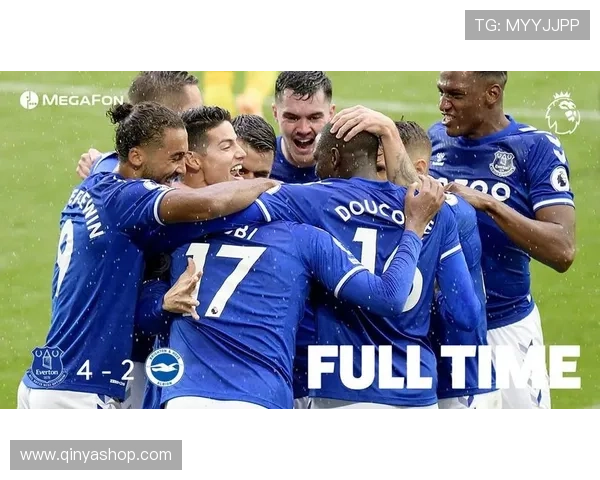 埃弗顿可能引进的14名自由球员目标解析