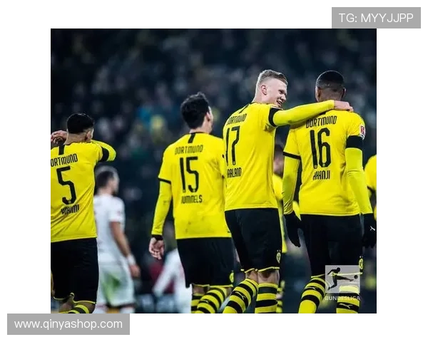 多特蒙德推出百万欧元发展计划 多特蒙德推出百万欧元发展计划